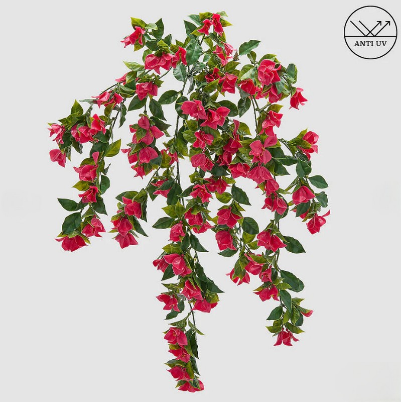 Bouganville cascante anti UV fucsia con foglie verdi, utilizzo interno ed esterno